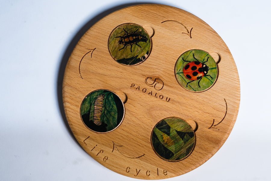 Pagalou - Life Cycle Set - Playlaan