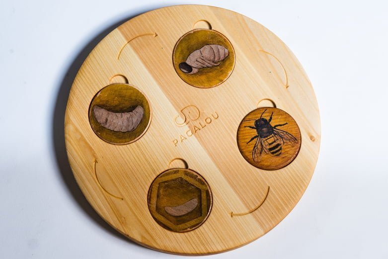 Pagalou - Life Cycle Set - Playlaan