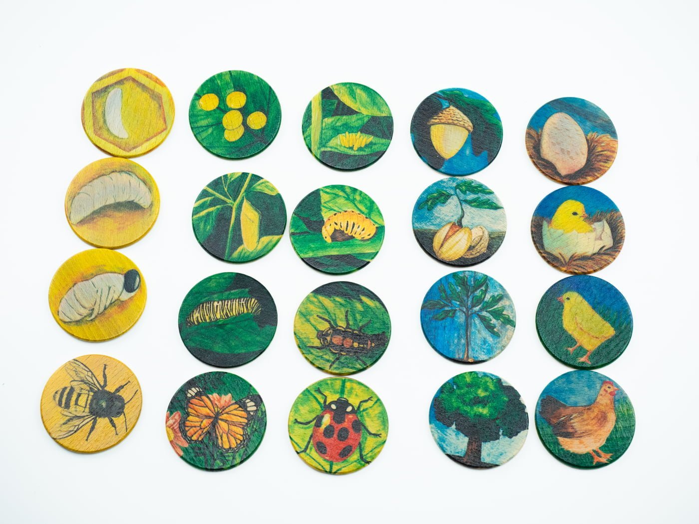 Pagalou - Life Cycle Set - Playlaan