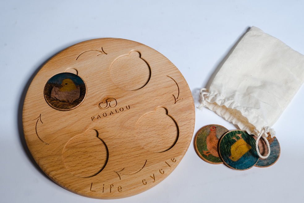Pagalou - Life Cycle Set - Playlaan