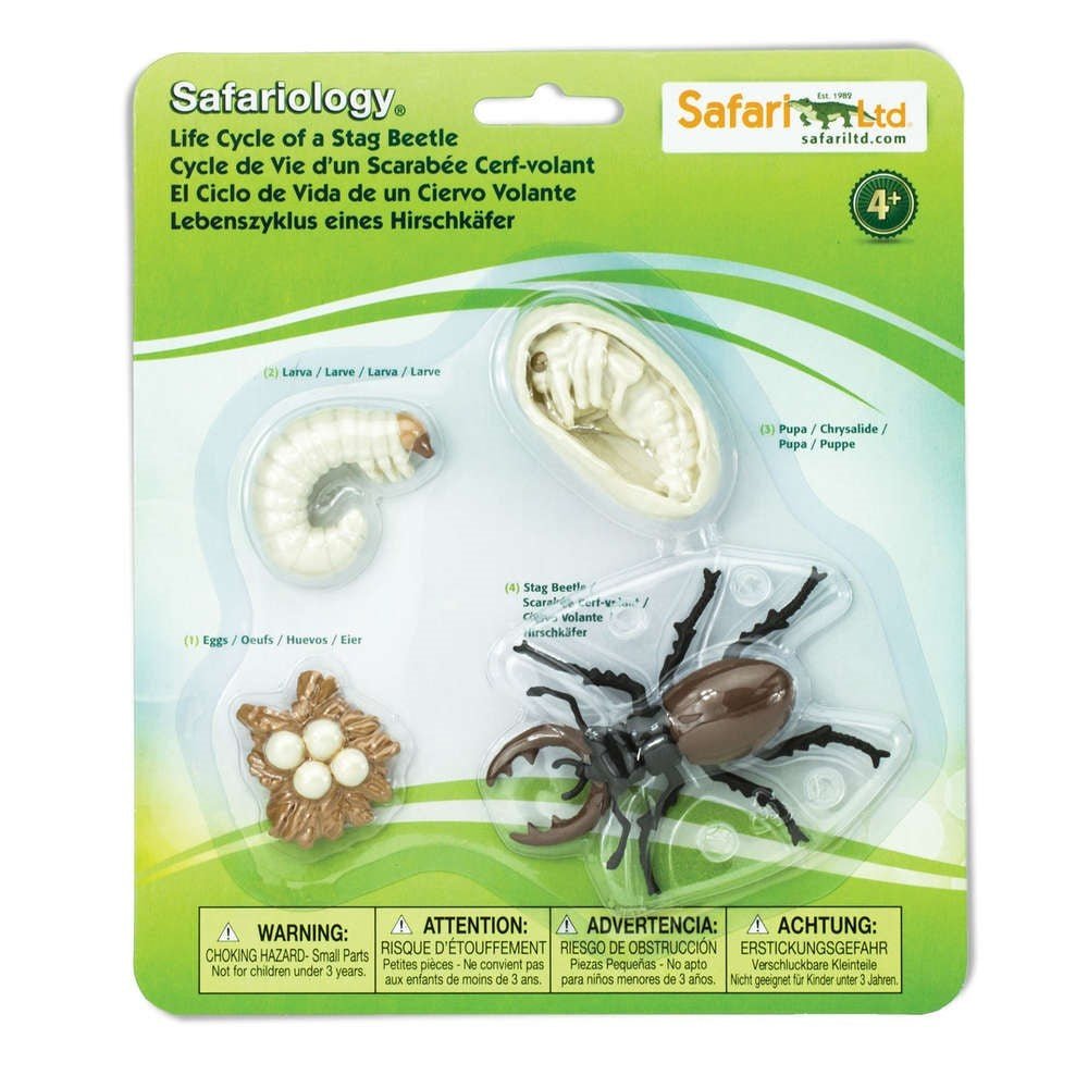 Safari Ltd - Levenscyclus van een Hertkever - Playlaan