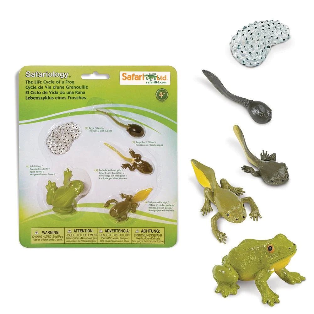 Safari Ltd - Levenscyclus van een Kikker - Playlaan