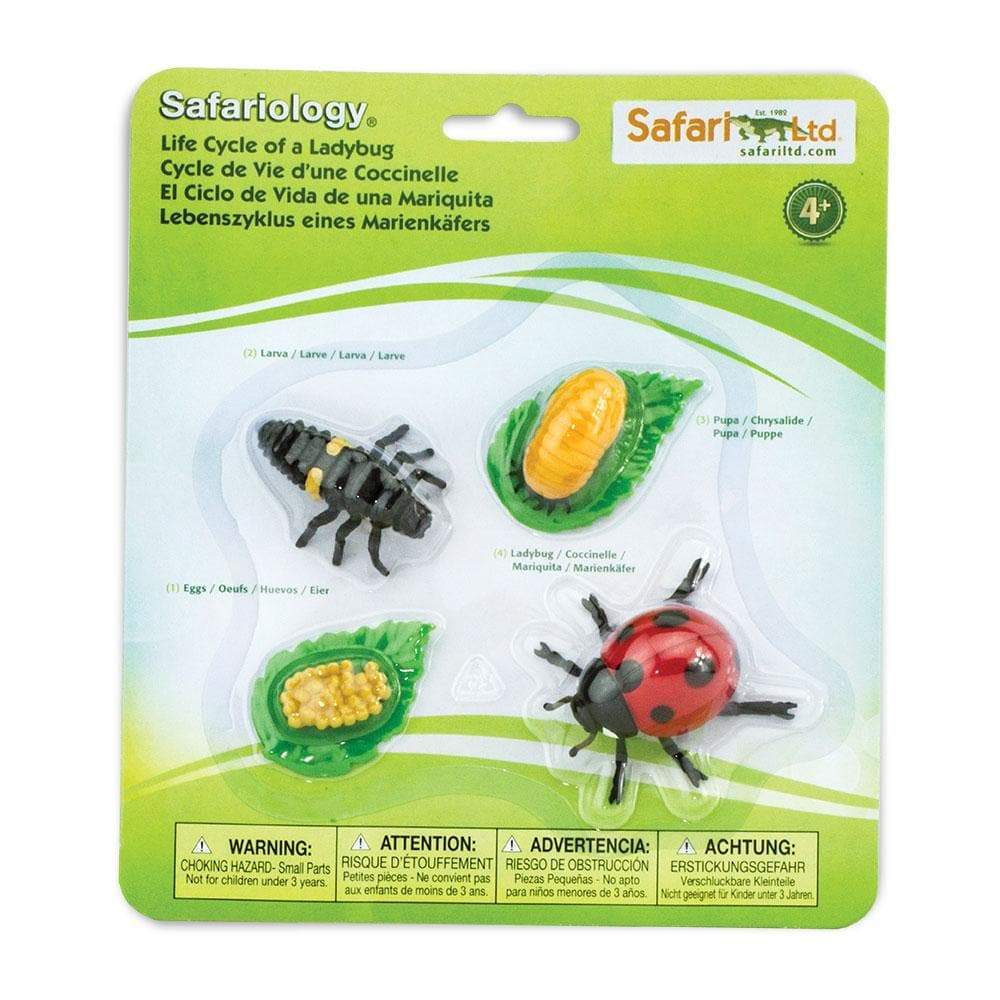 Safari Ltd - Levenscyclus van een Lieveheersbeestje - Playlaan