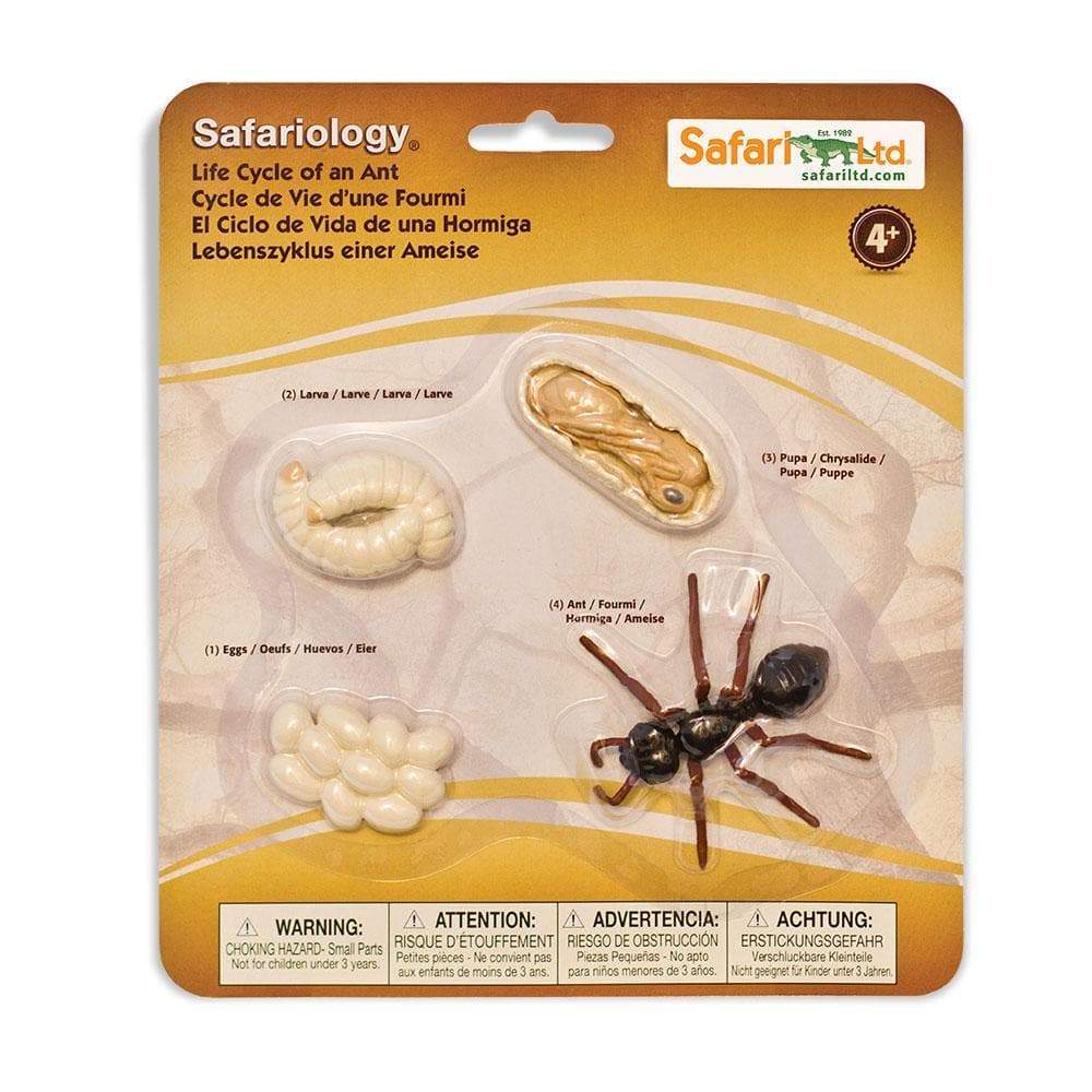 Safari Ltd - Levenscyclus van een Mier - Playlaan