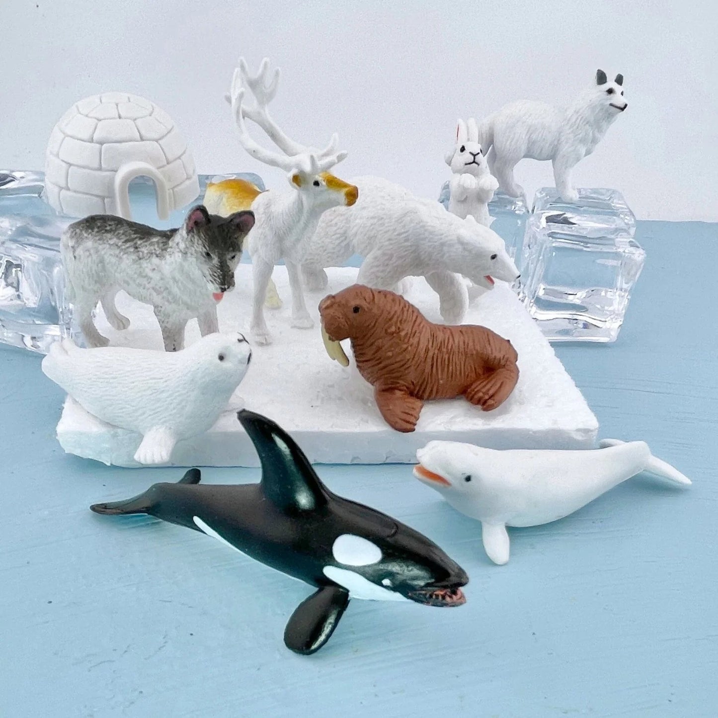 Safari Ltd - Speelfiguren Arctic TOOB® -Set van 10 stuks - Playlaan