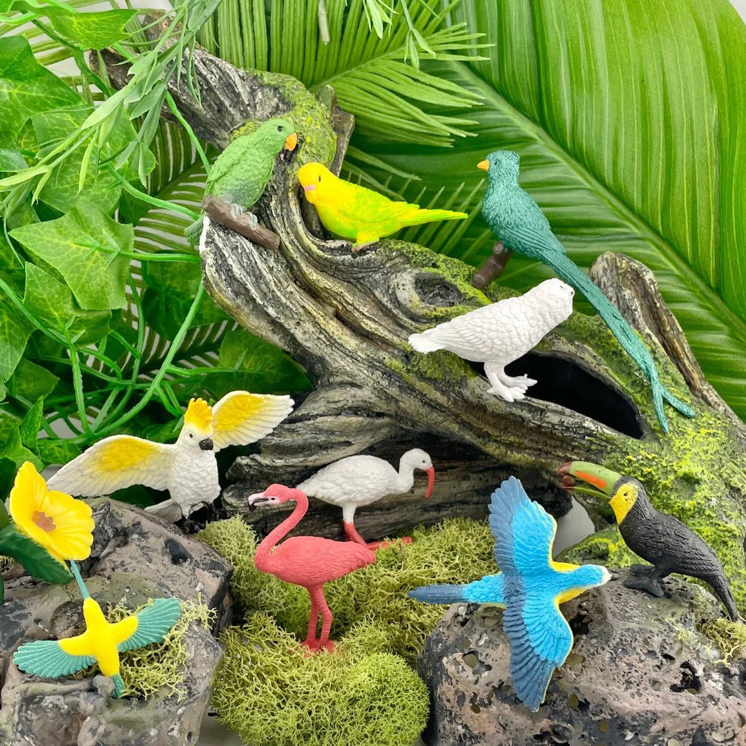 Safari Ltd - Speelfiguren Exotische Vogels TOOB® - Set van 11 stuks - Playlaan