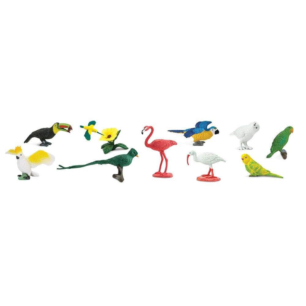 Safari Ltd - Speelfiguren Exotische Vogels TOOB® - Set van 11 stuks - Playlaan