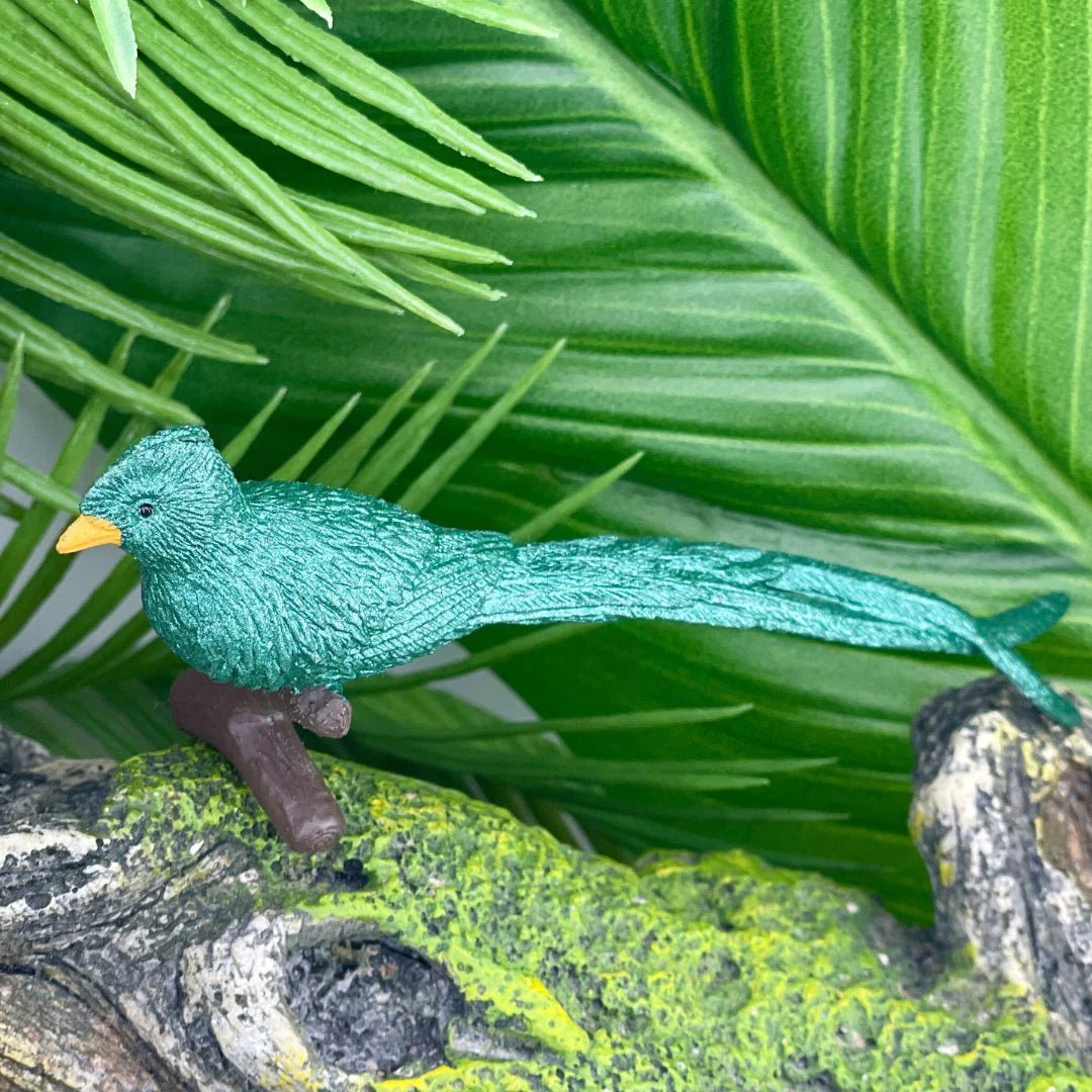 Safari Ltd - Speelfiguren Exotische Vogels TOOB® - Set van 11 stuks - Playlaan