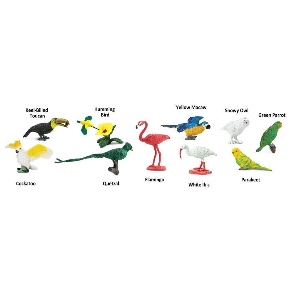 Safari Ltd - Speelfiguren Exotische Vogels TOOB® - Set van 11 stuks - Playlaan