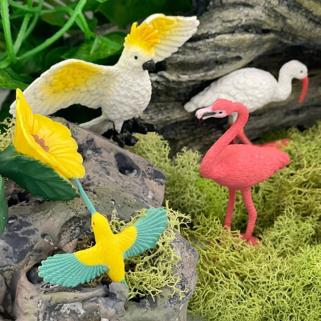 Safari Ltd - Speelfiguren Exotische Vogels TOOB® - Set van 11 stuks - Playlaan
