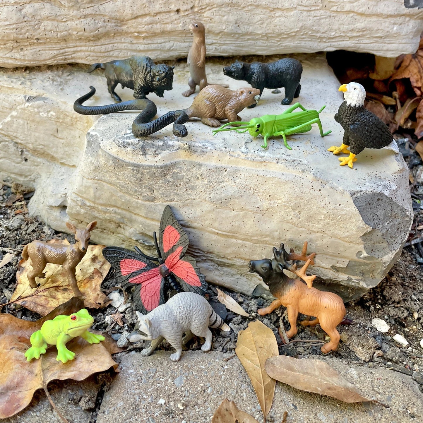 Safari Ltd - Speelfiguren In het Bos TOOB® - Set van 12 stuks - Playlaan