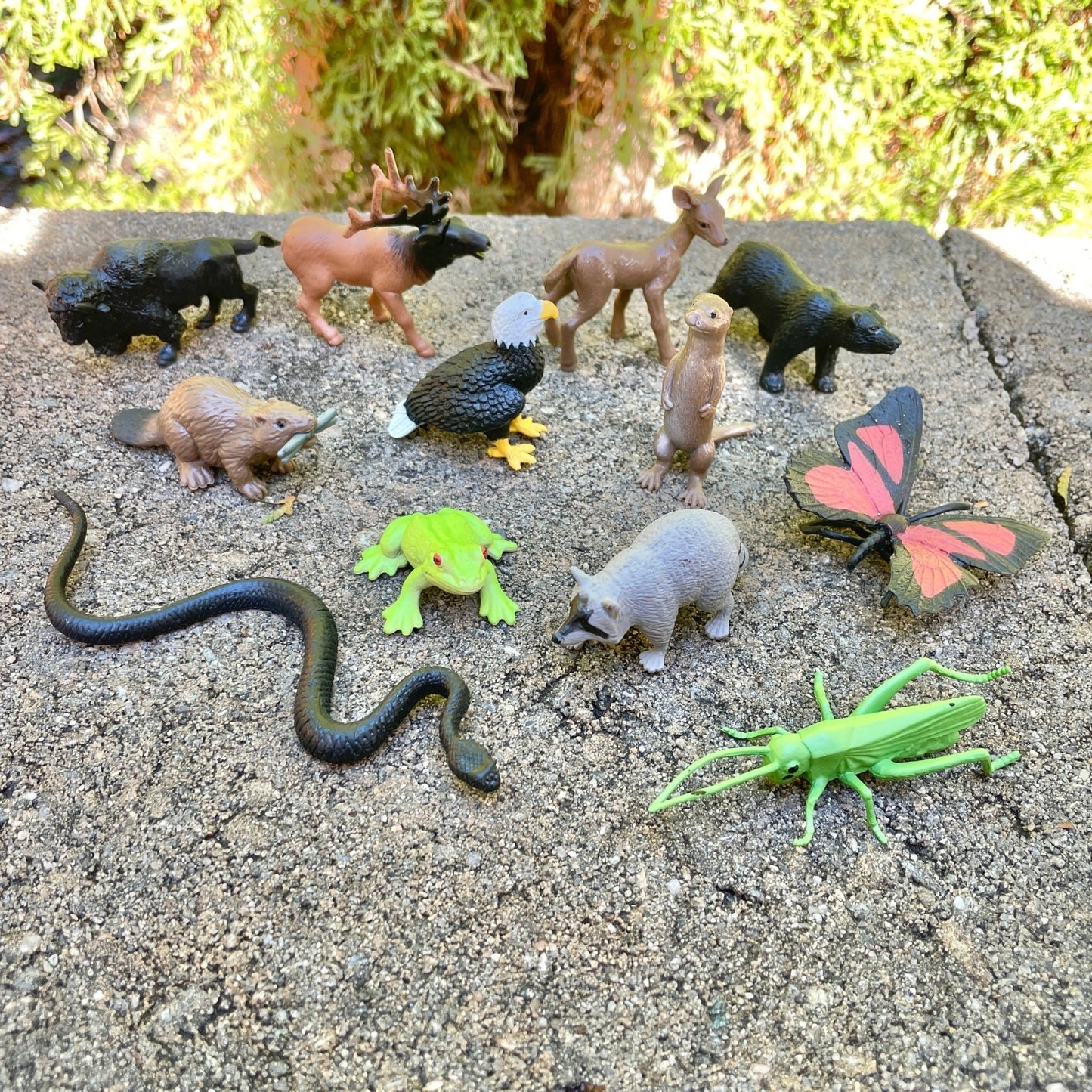 Safari Ltd - Speelfiguren In het Bos TOOB® - Set van 12 stuks - Playlaan