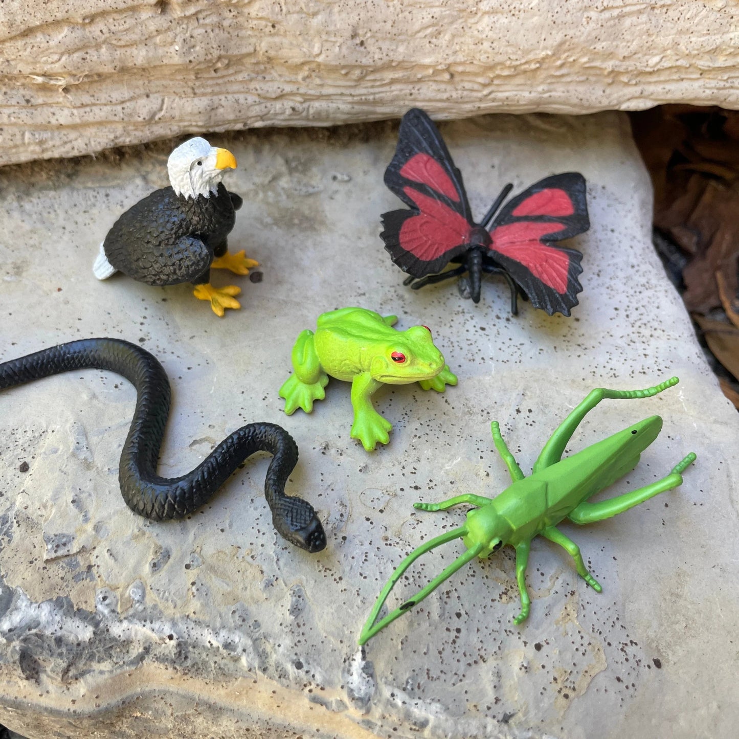 Safari Ltd - Speelfiguren In het Bos TOOB® - Set van 12 stuks - Playlaan