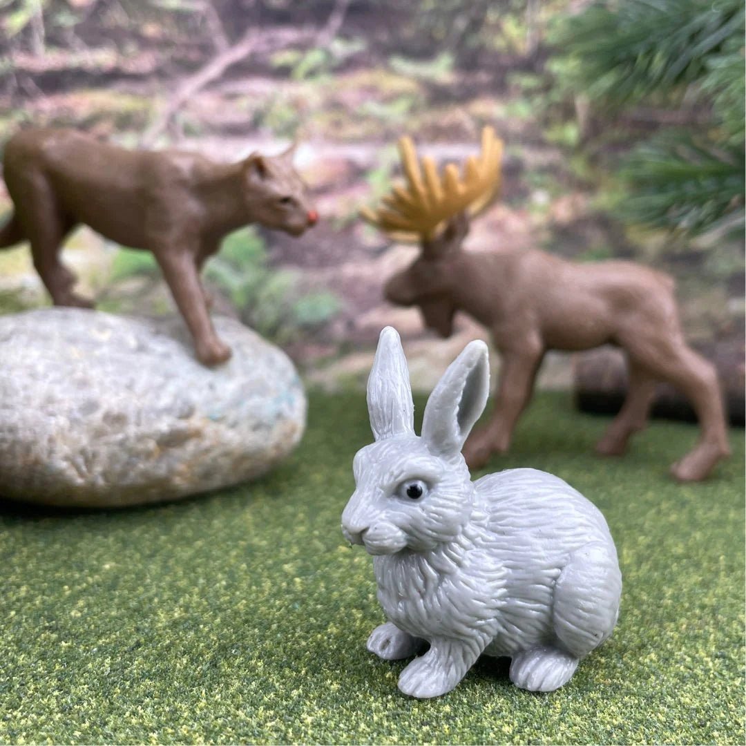 Safari Ltd - Speelfiguren Natuur TOOB® - Set van 12 - Playlaan