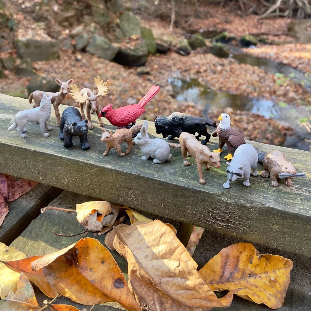 Safari Ltd - Speelfiguren Natuur TOOB® - Set van 12 - Playlaan