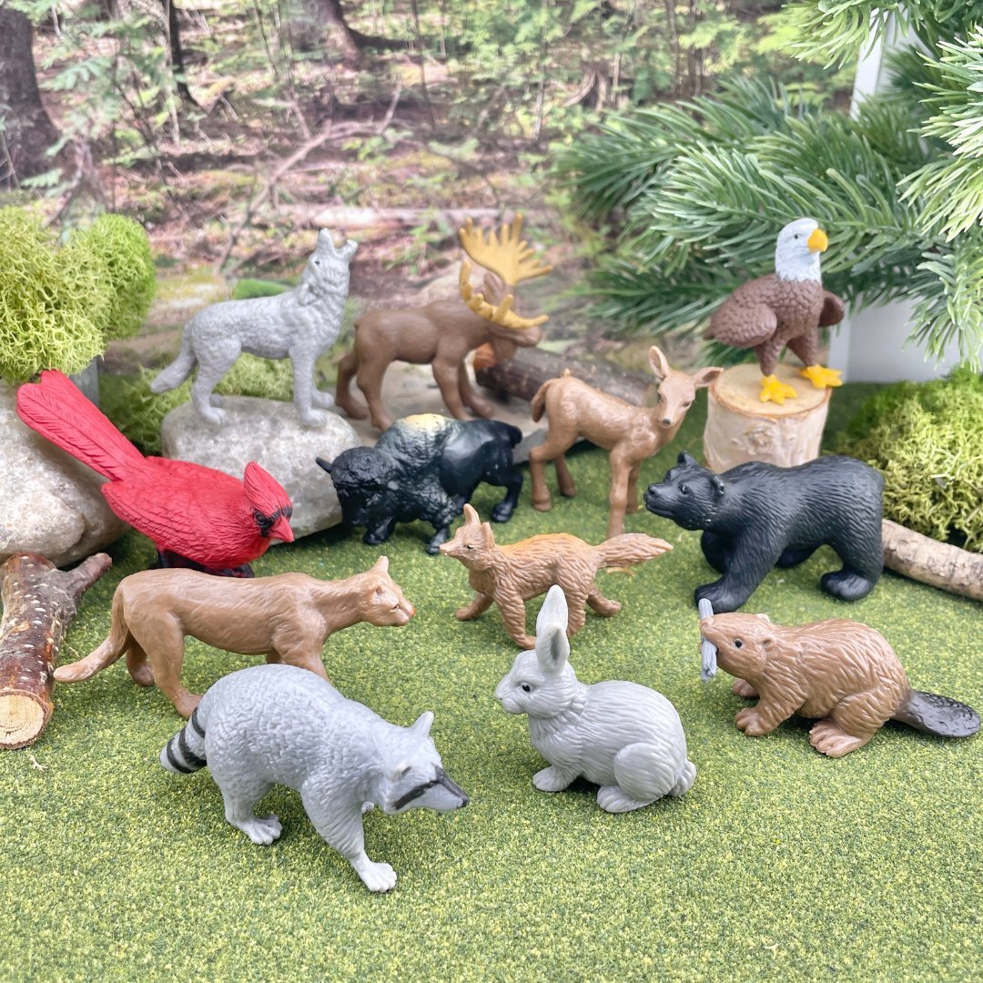Safari Ltd - Speelfiguren Natuur TOOB® - Set van 12 - Playlaan