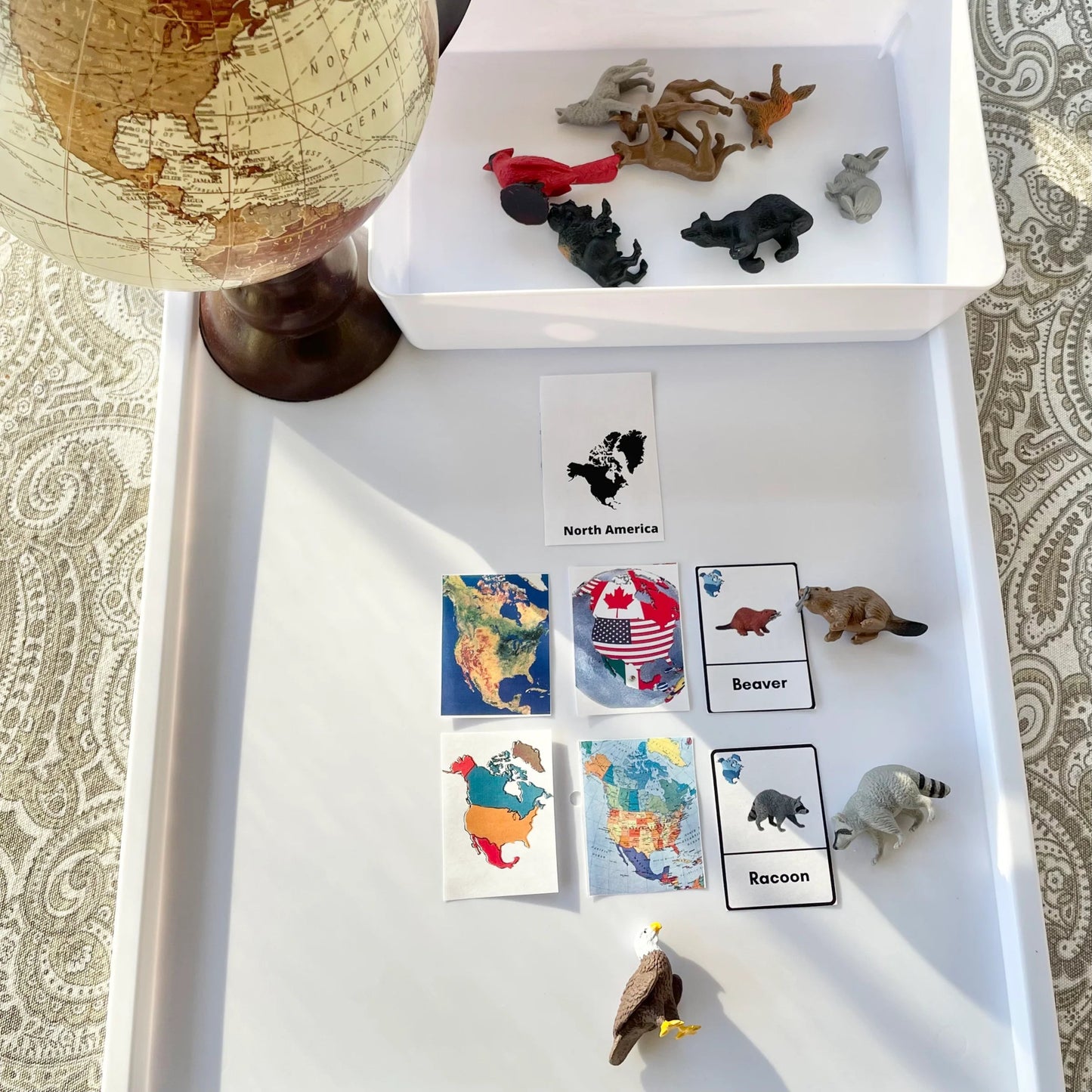 Safari Ltd - Speelfiguren Natuur TOOB® - Set van 12 - Playlaan