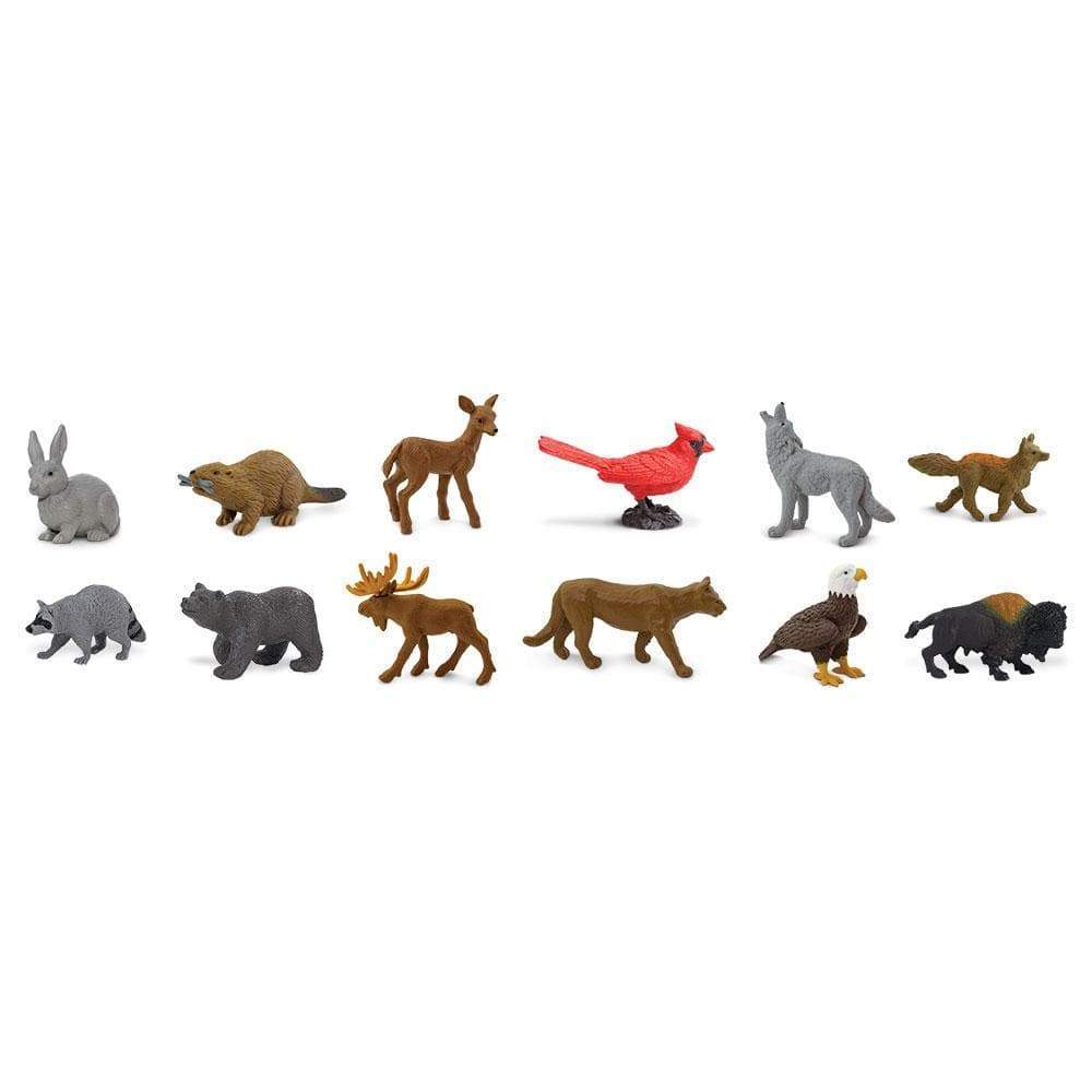 Safari Ltd - Speelfiguren Natuur TOOB® - Set van 12 - Playlaan