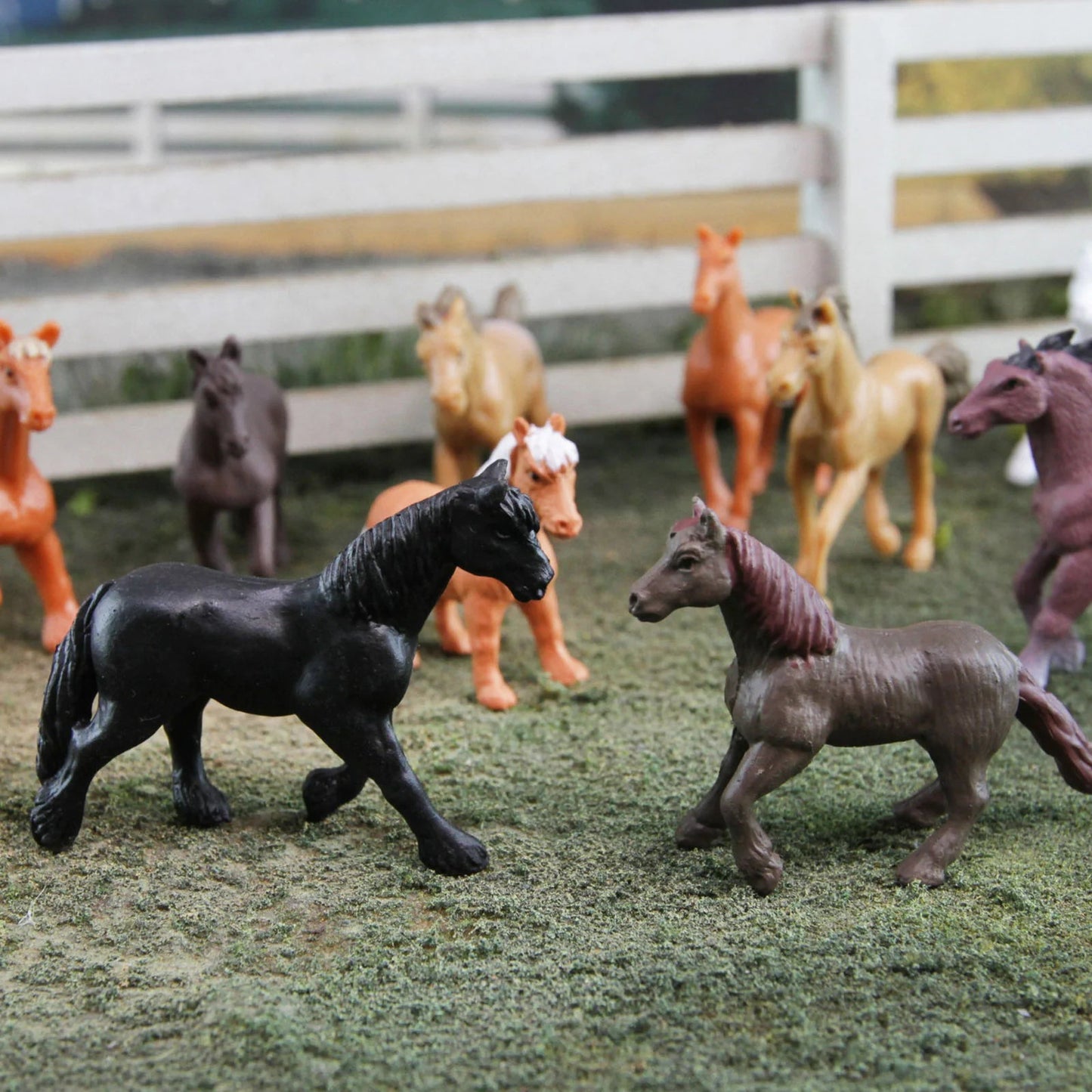 Safari Ltd - Speelfiguren Paarden TOOB® - Set van 12 stuks - Playlaan