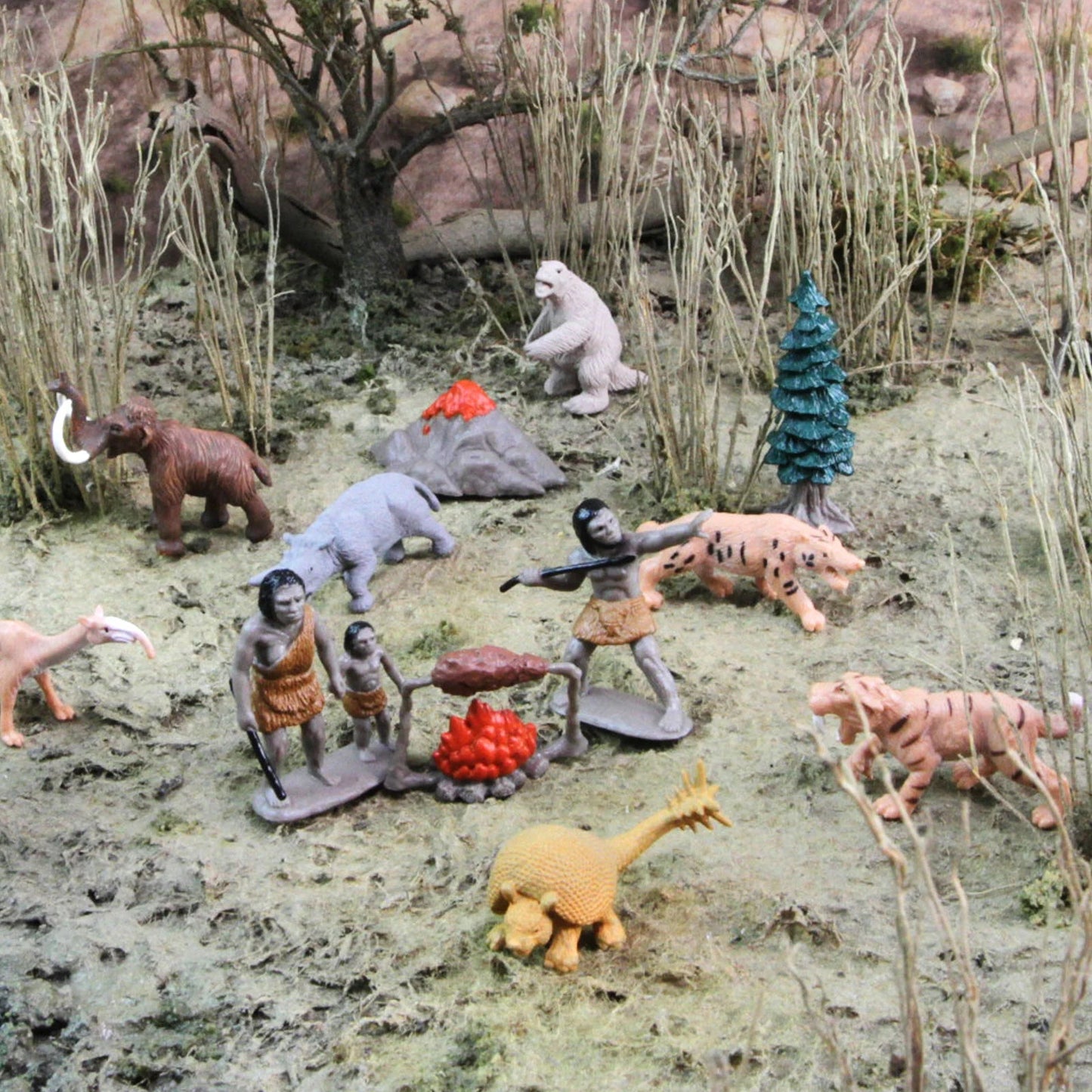Safari Ltd - Speelfiguren Prehistorisch Leven TOOB® - Set van 12 stuks - Playlaan