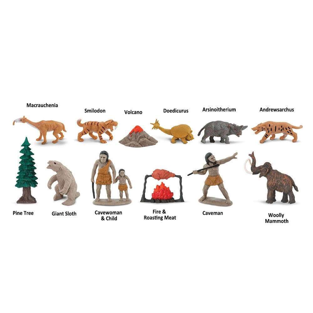 Safari Ltd - Speelfiguren Prehistorisch Leven TOOB® - Set van 12 stuks - Playlaan