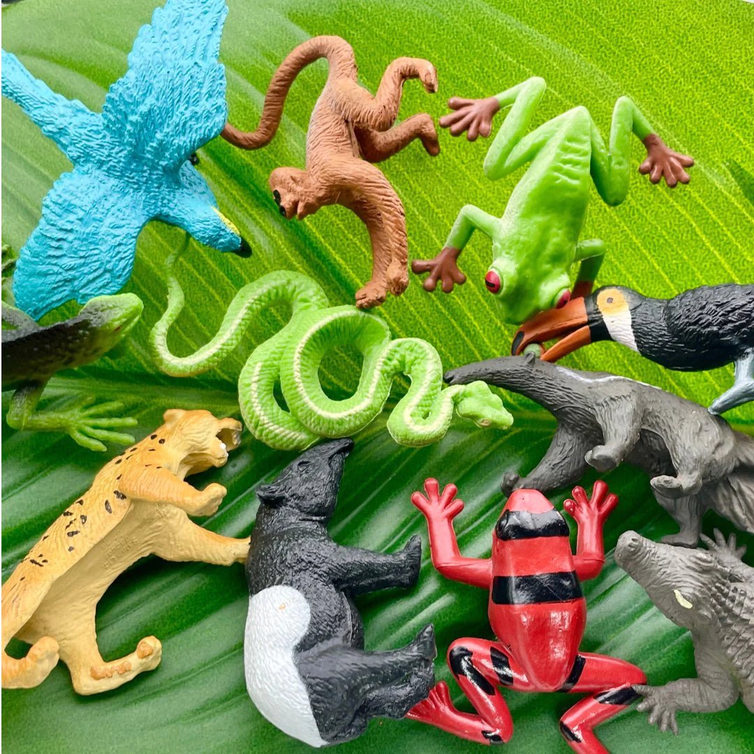 Safari Ltd - Speelfiguren Regenwoud TOOB®- Set van 11 stuks - Playlaan