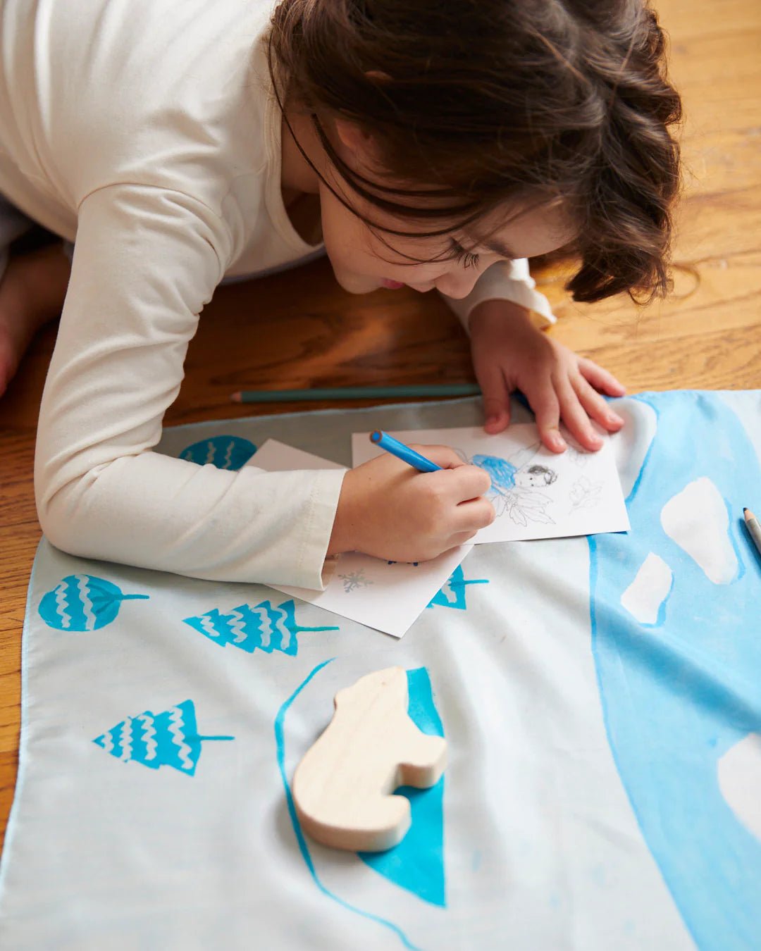 Sarah's Silks - Playmap - Arctic - Playlaan