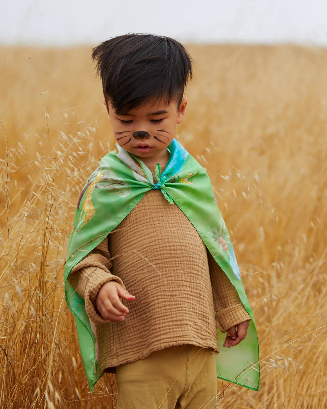 Sarah's Silks - Playmap - Safari - Playlaan