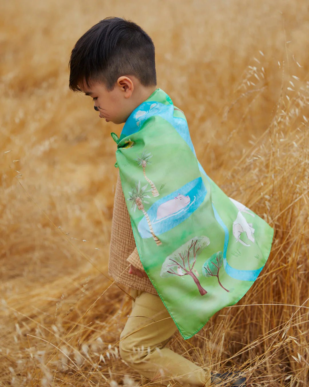Sarah's Silks - Playmap - Safari - Playlaan