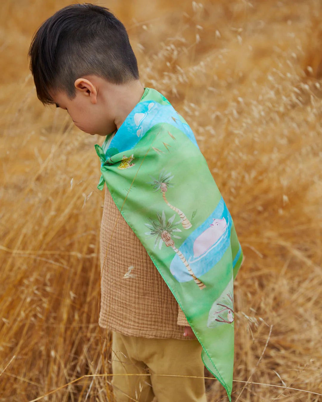 Sarah's Silks - Playmap - Safari - Playlaan