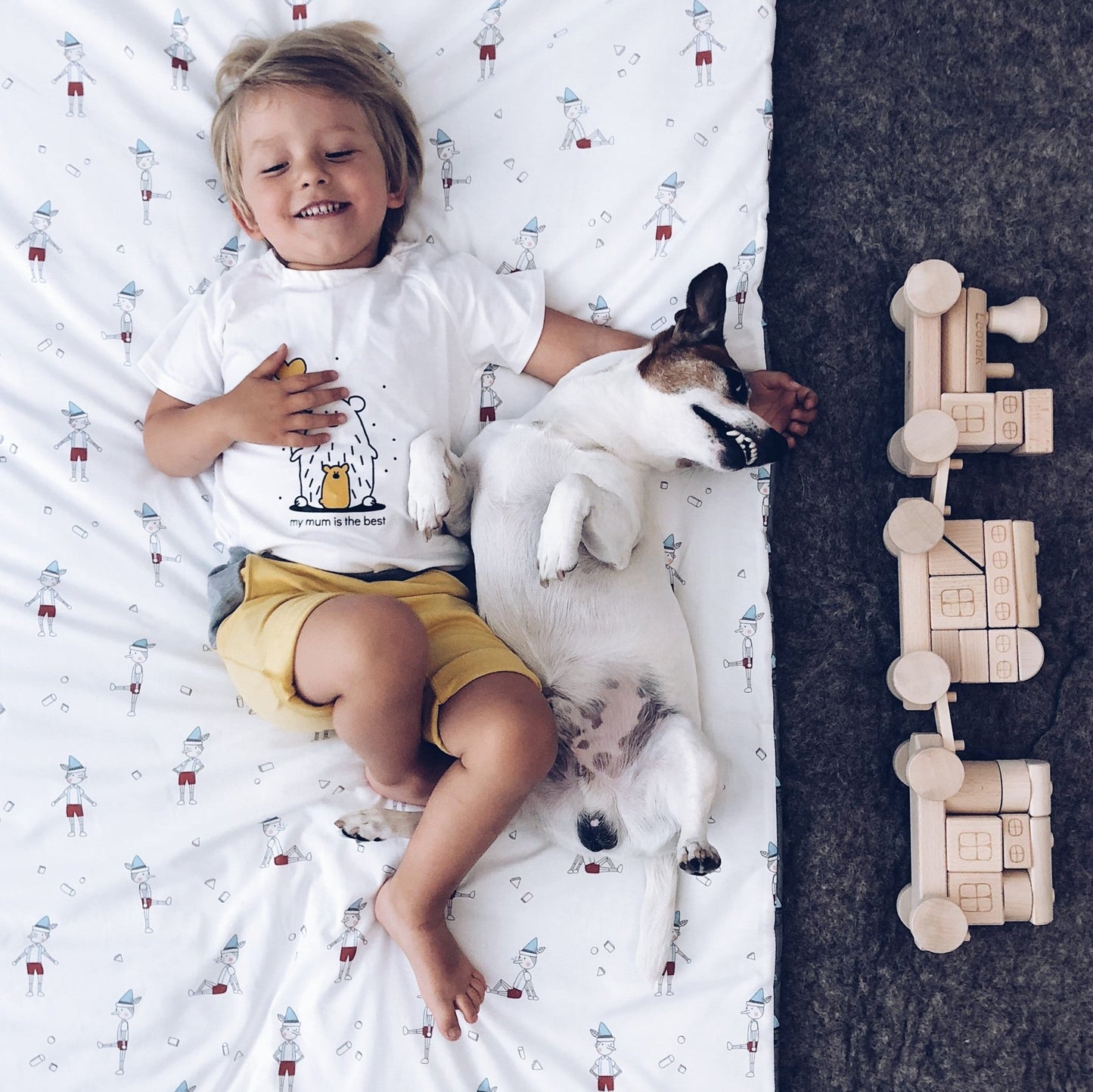 Tarnawa Toys - Trein groot naturel - Playlaan