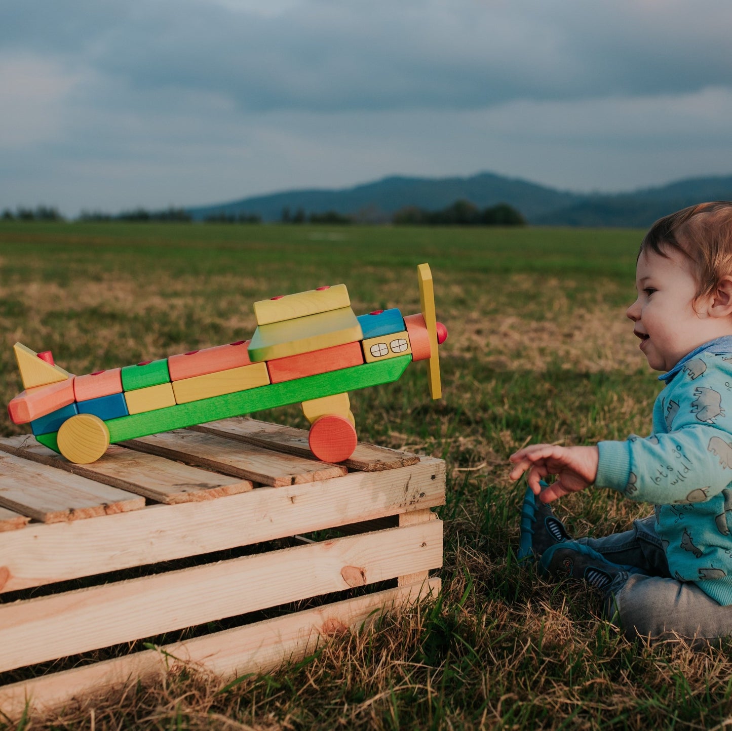 Tarnawa Toys - Vliegtuig met regenboog blokken - groot - Playlaan