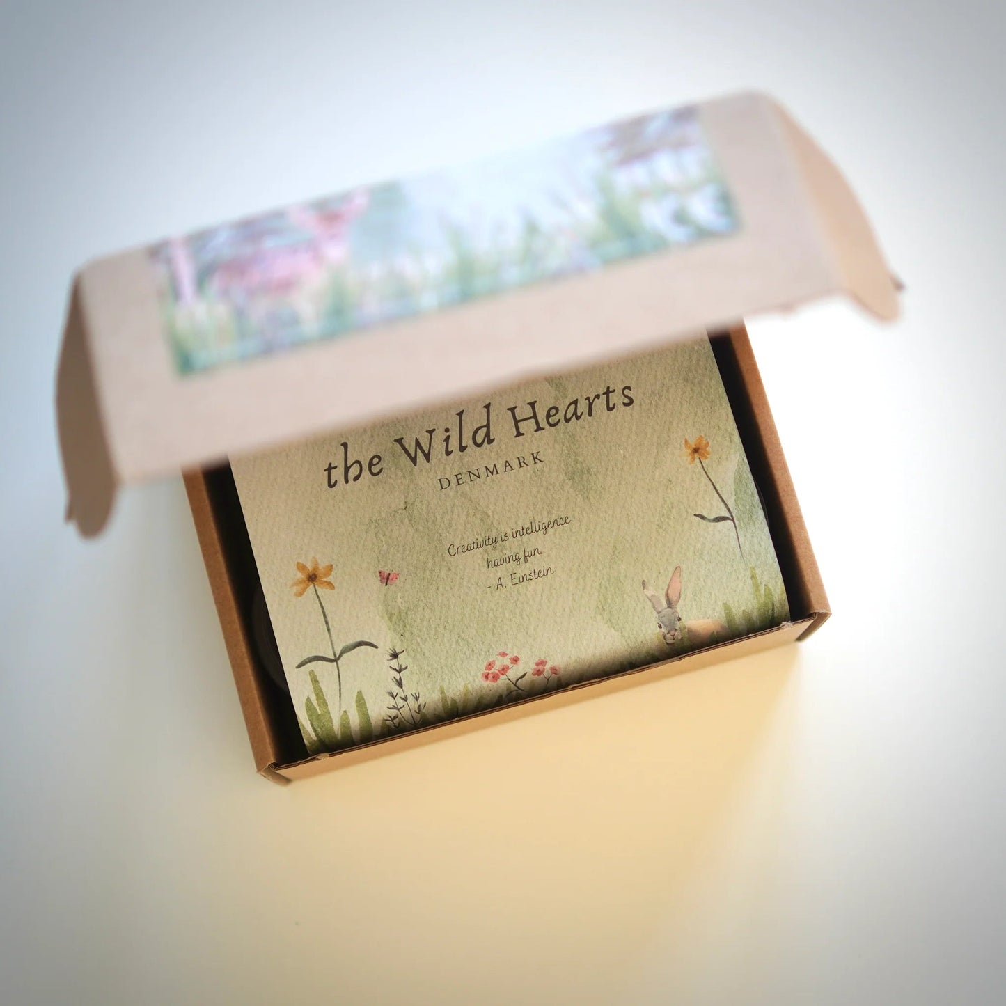 The Wild Hearts - Biologische Klei set - Bos 5 x 120g - Playlaan