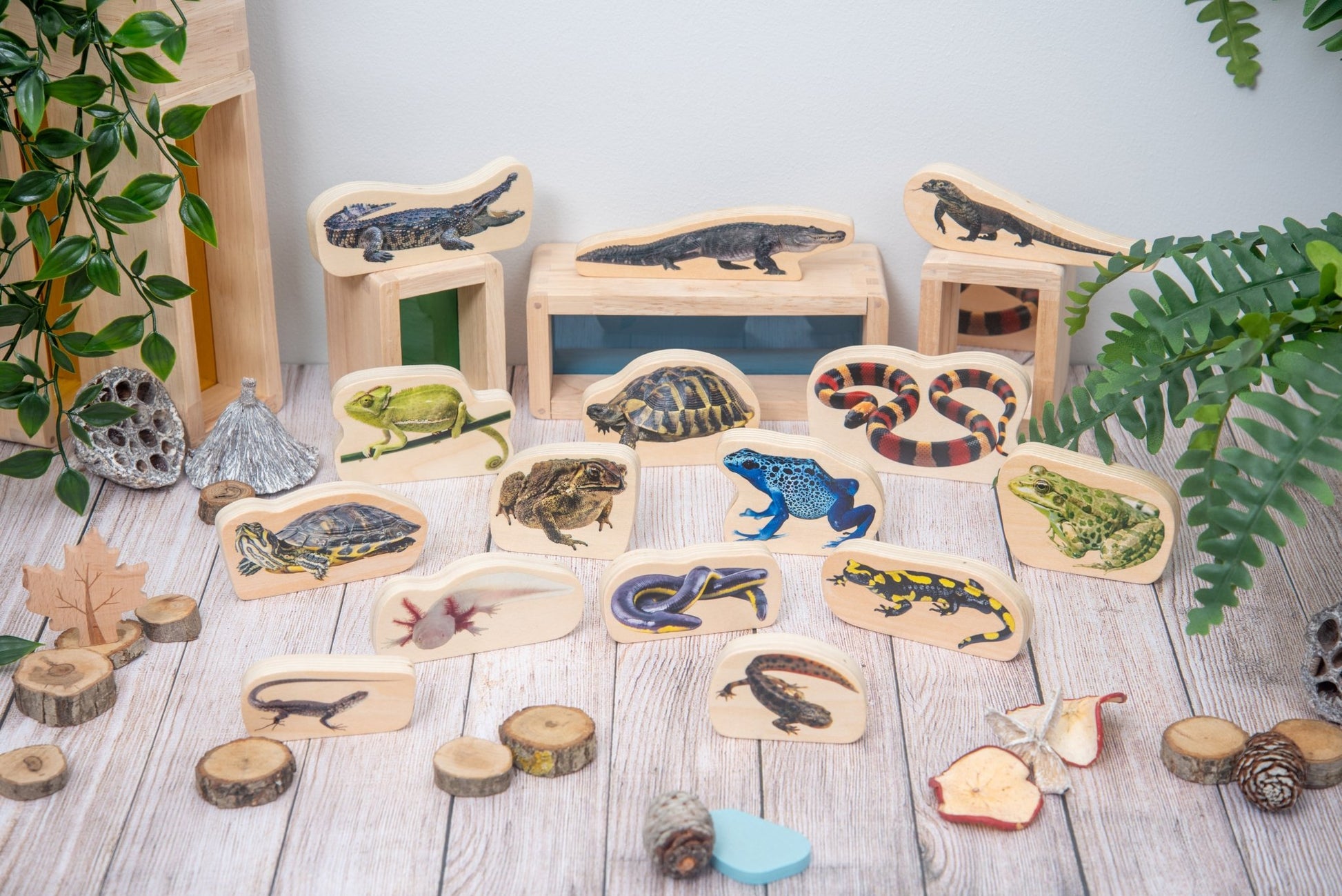 Tickit - Houten Reptielen- en Amfibieën blokken - Pk15 - Playlaan