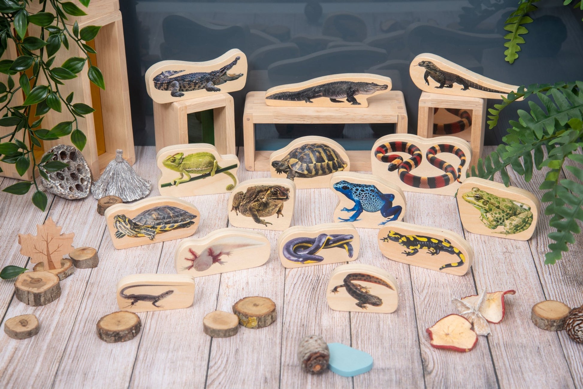 Tickit - Houten Reptielen- en Amfibieën blokken - Pk15 - Playlaan
