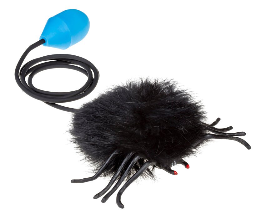 Tullo - Springende Spin - Playlaan