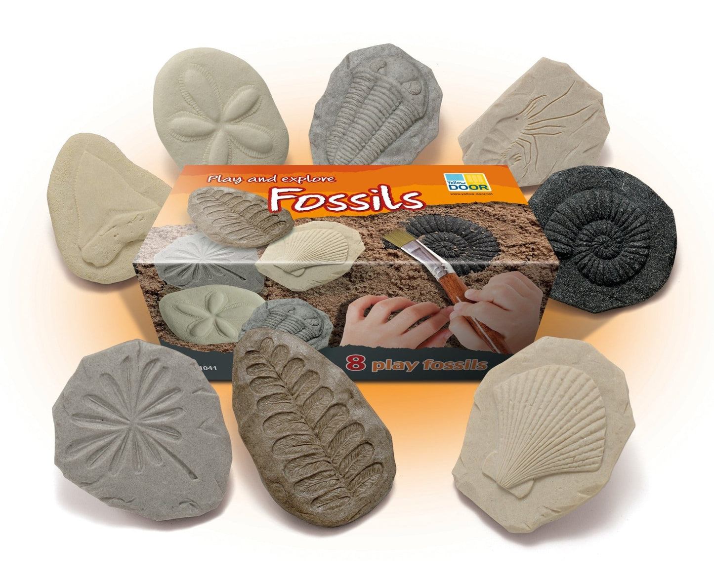 Yellow Door - Let's Investigate - Fossils - Playlaan