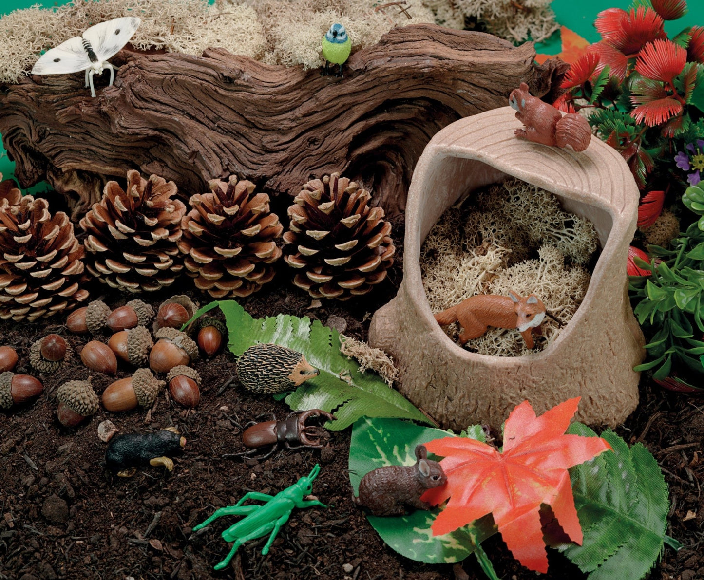 Yellow Door - Tree Stump - Playlaan