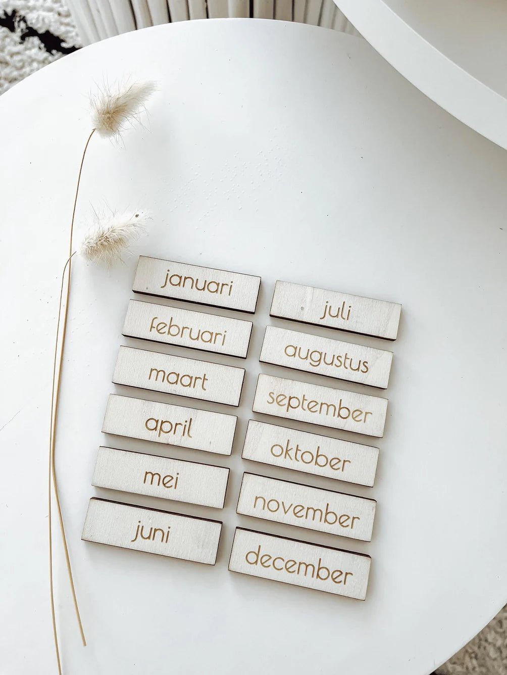 Your Little Family - Maanden Pictogrammen - Playlaan
