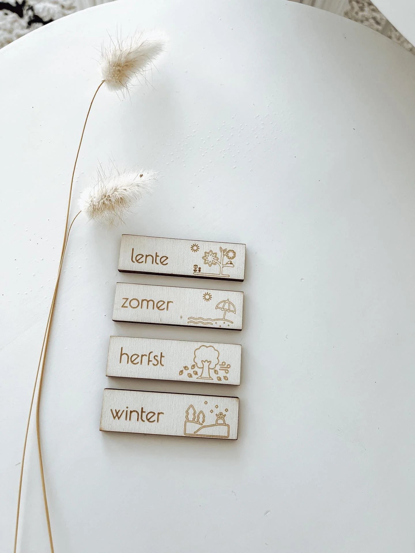 Your Little Family - Seizoenen Pictogrammen - Playlaan