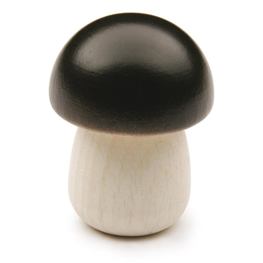 Erzi - Boletus Eekhoorntjesbrood hout