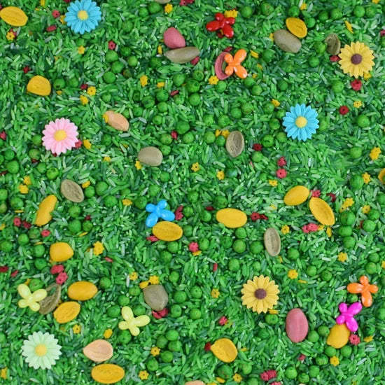 Your Little Family - Speelrijst Lente