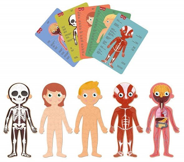 Apli Kids - Apli Kids - Menselijk Lichaam Puzzel 240 stuks - Playlaan