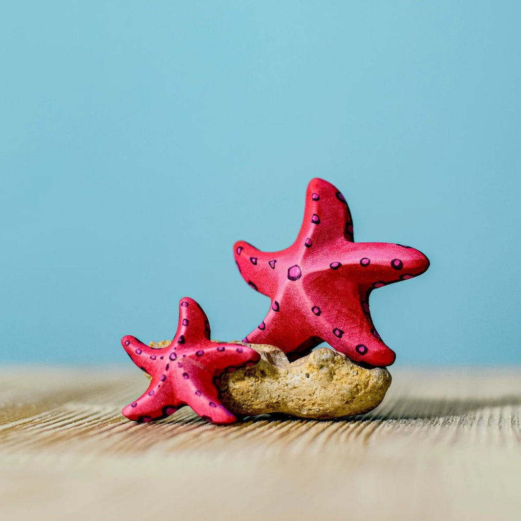 Bumbu Toys - Red Starfish SET - Playlaan