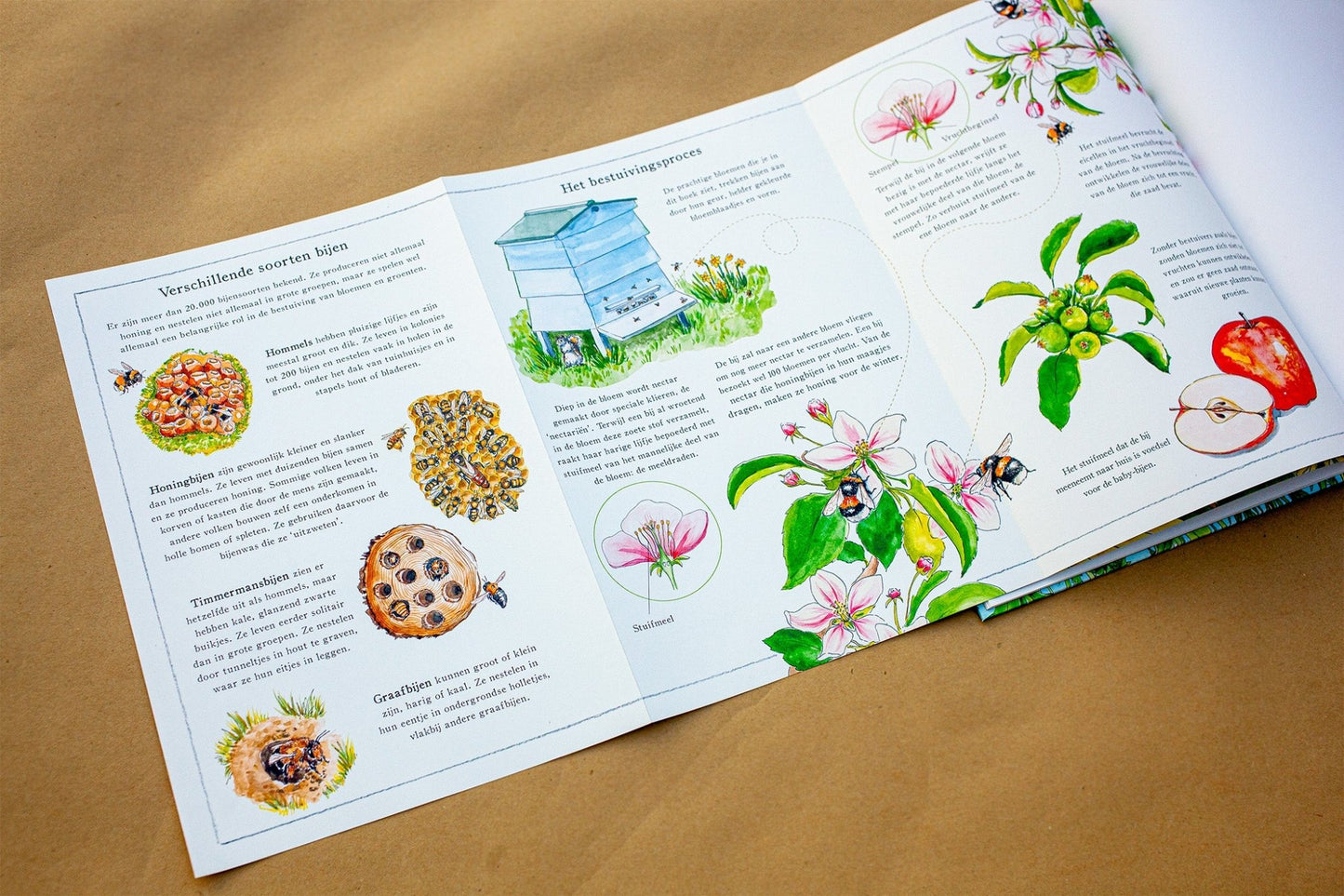 Christofoor - Christofoor - Het begint met een bij - Jennie Webber - Playlaan