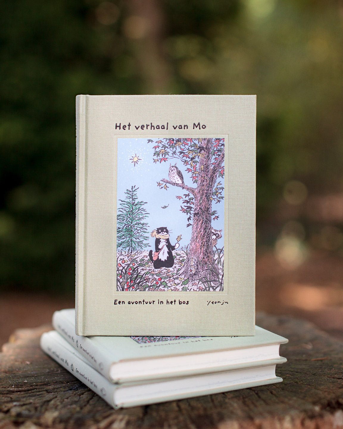 Christofoor - Christofoor - Het verhaal van Mo - Een avontuur in het bos - Playlaan