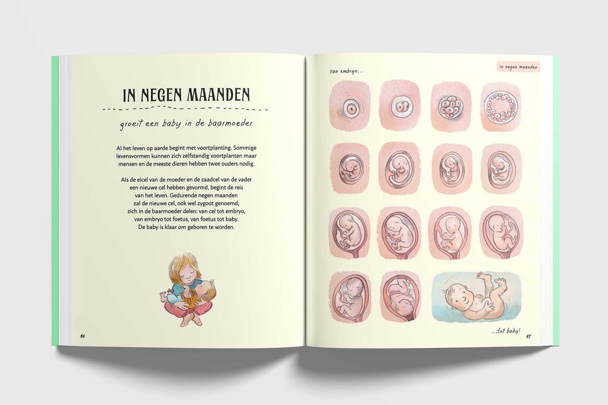 Christofoor - Christofoor - Het wachten waard - Wetenswaardigheden over wonderen in wording - Playlaan