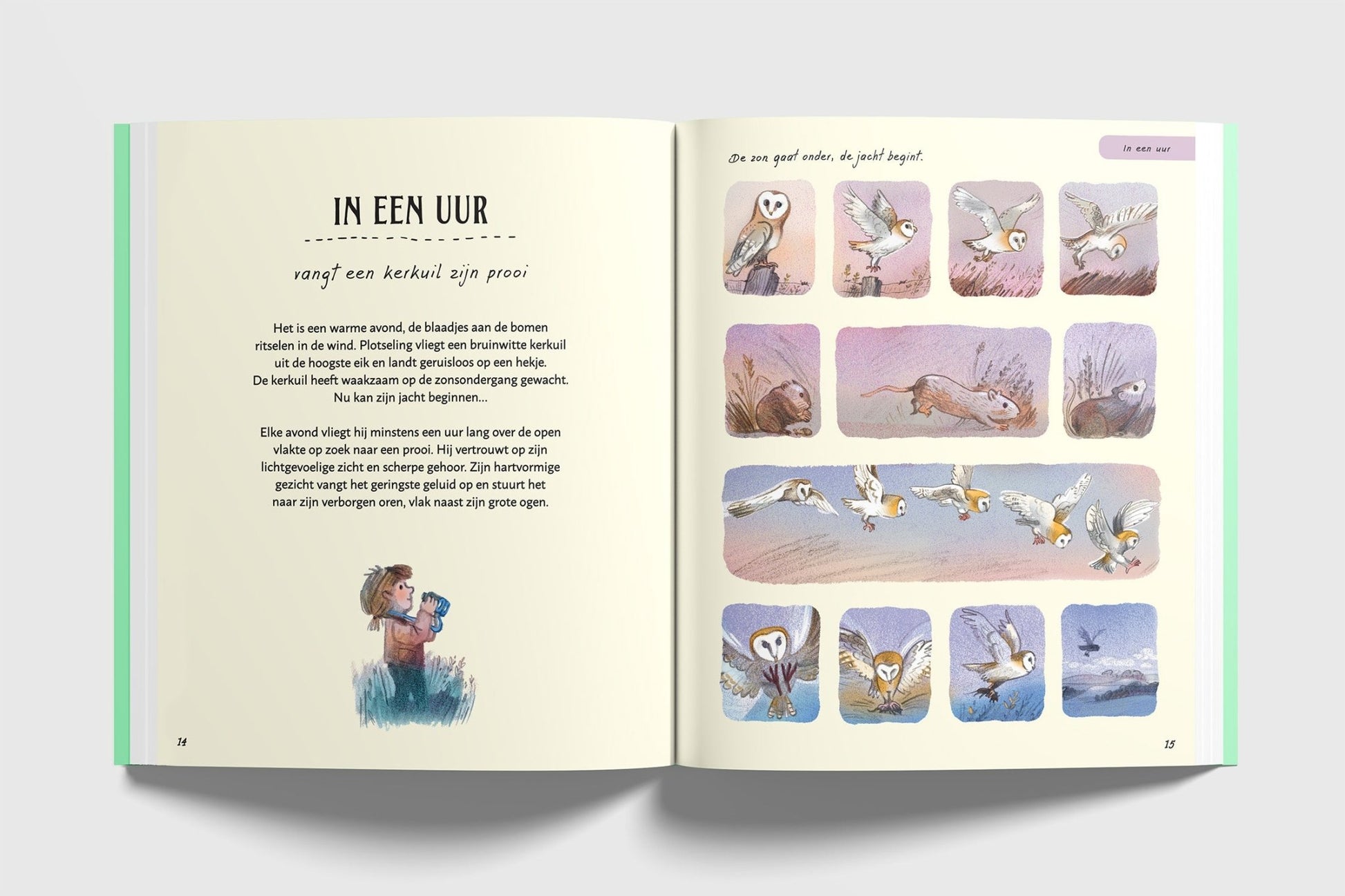 Christofoor - Christofoor - Het wachten waard - Wetenswaardigheden over wonderen in wording - Playlaan