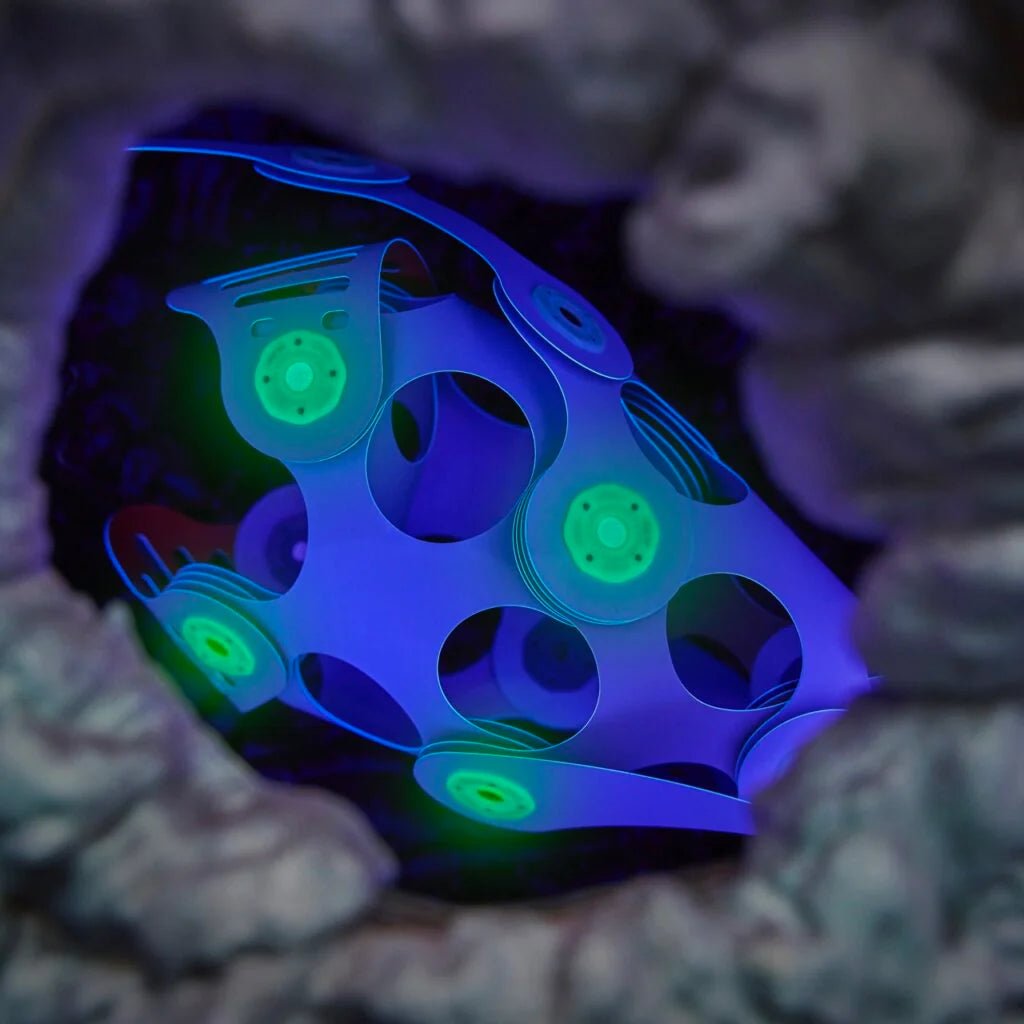 Clixo - Clixo - Ocean Creatures - Adventure Pack - Playlaan