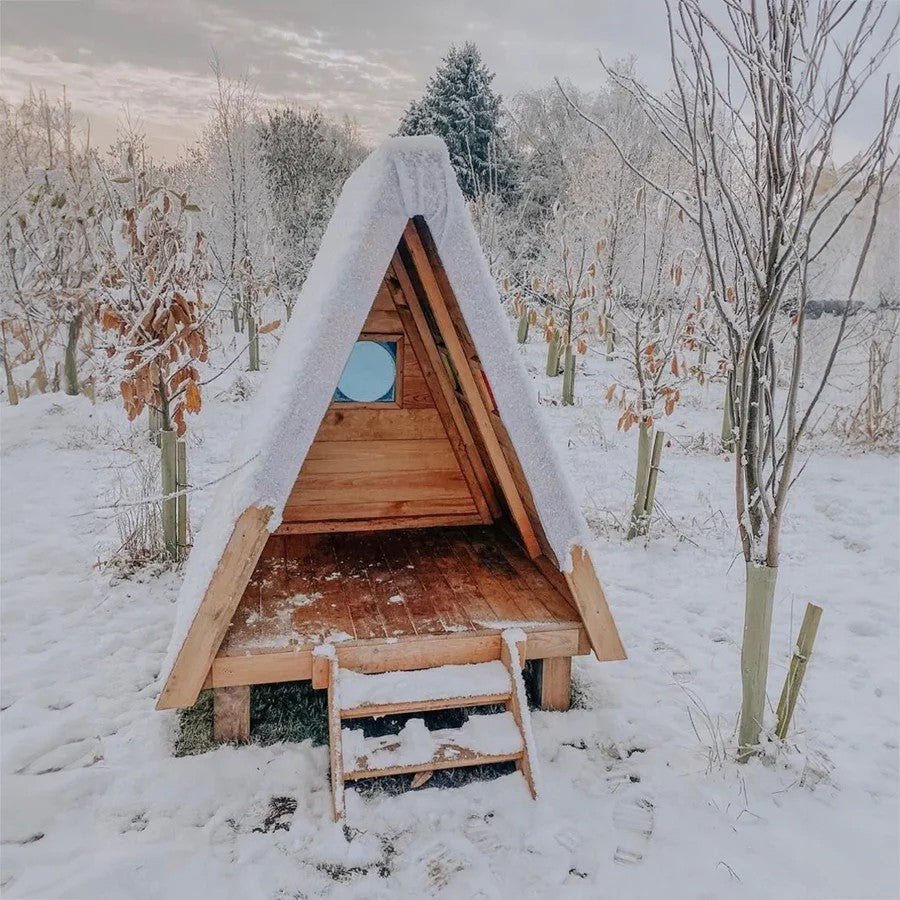 Cosy - Boshut met kleurijke kijkgaatjes - Playlaan